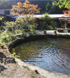 庭のつり池